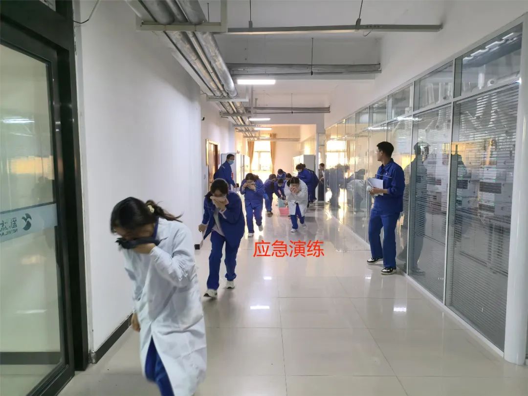 1702363980394745.jpg 1.jpg